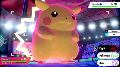 Pokémon Escudo - captura 1